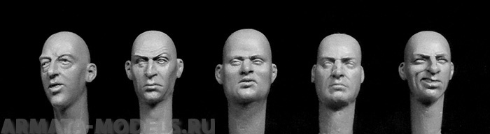 HH37 5 additional bald heads, European features Hornet