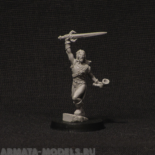 elf elven hero BROTHER VINNI's