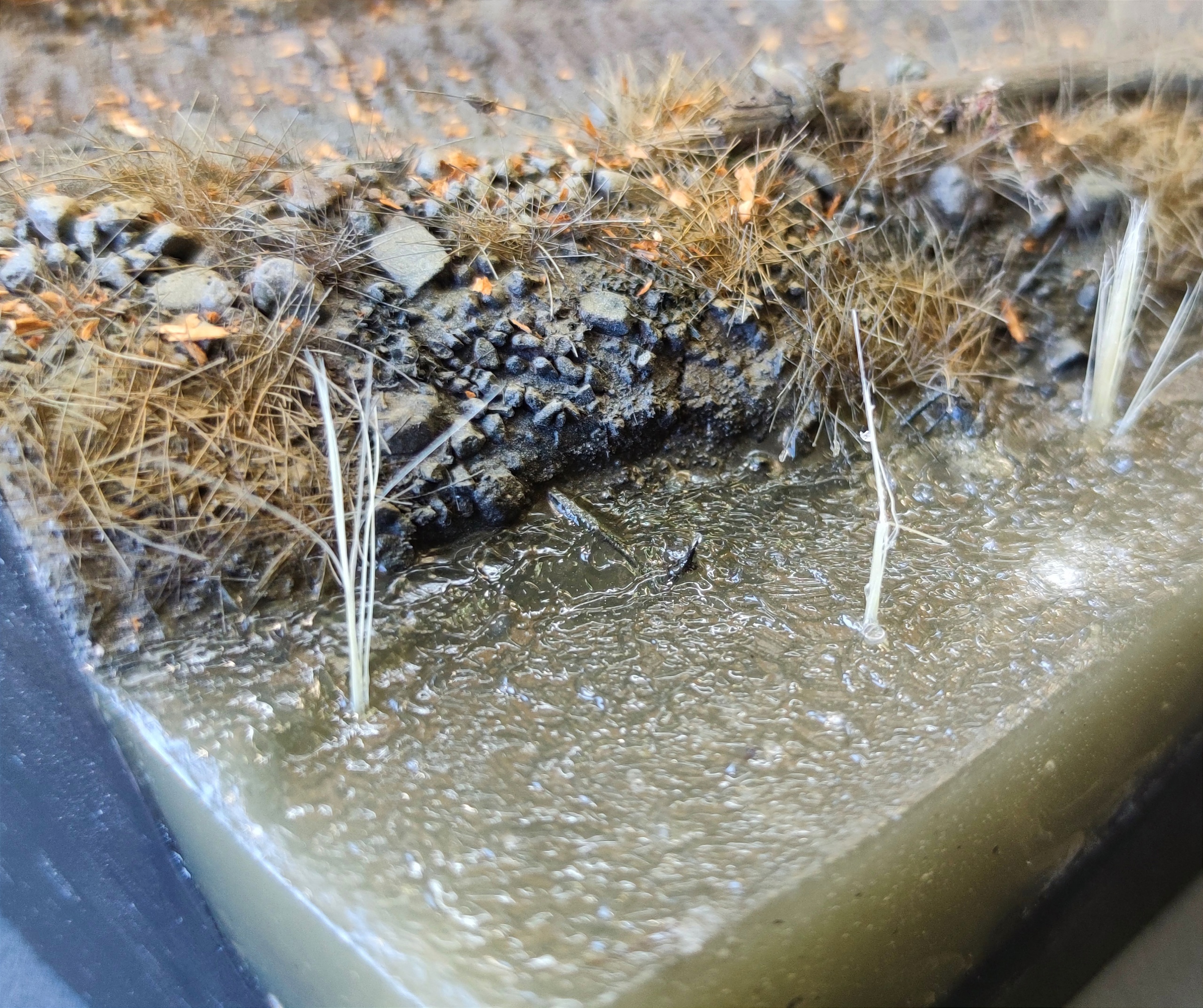 НЕ-35166 Подставка яркая осень