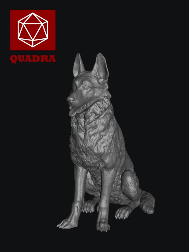 AM35903 Фигура овчарка QUADRA