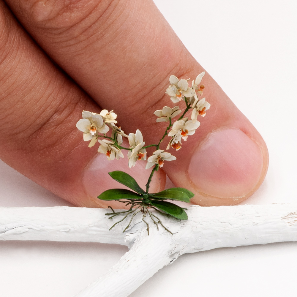 S176MWP Орхидея, размер L