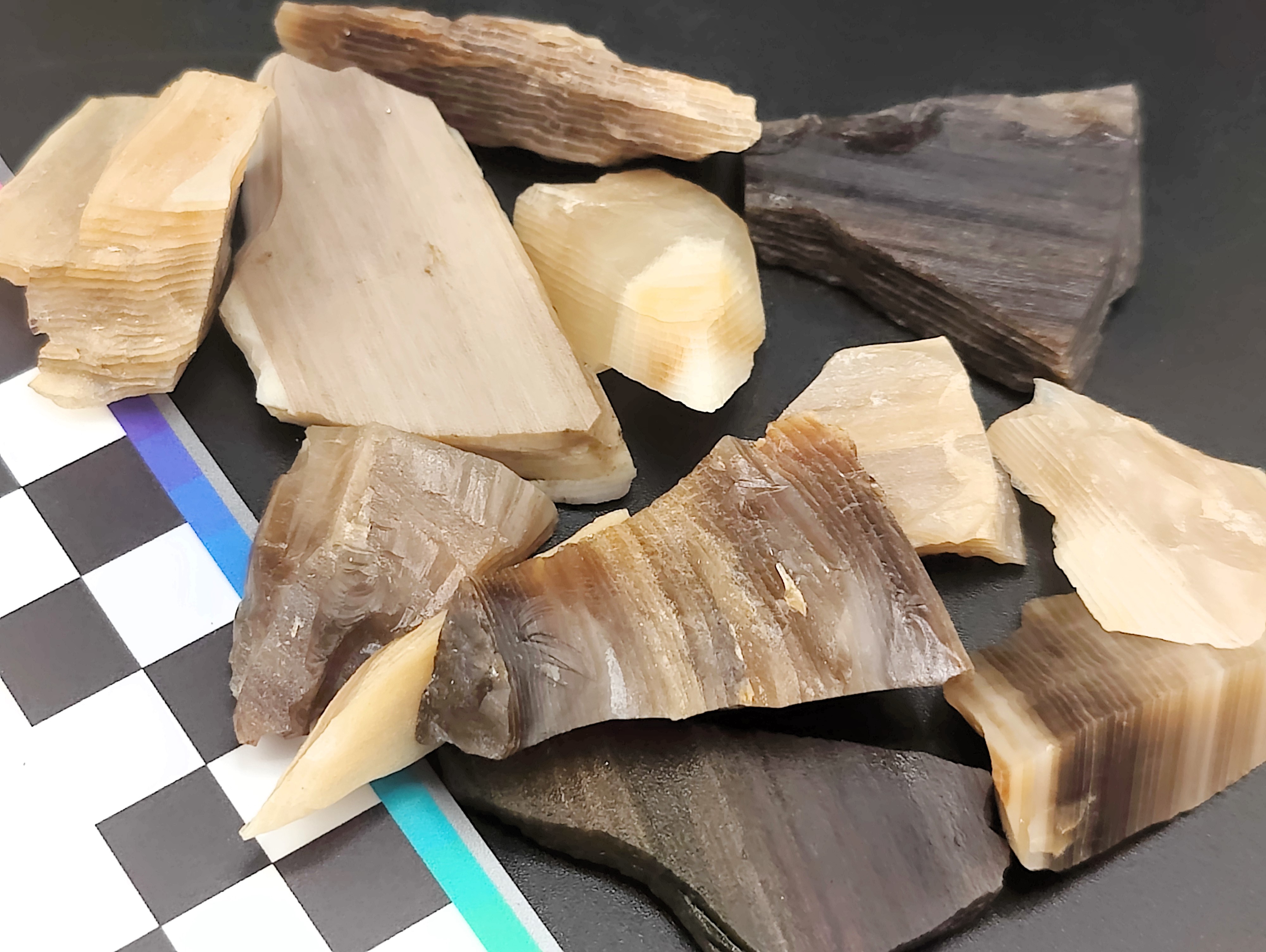 AAM0030 Окаменелое дерево с замещением опалом, Приморье