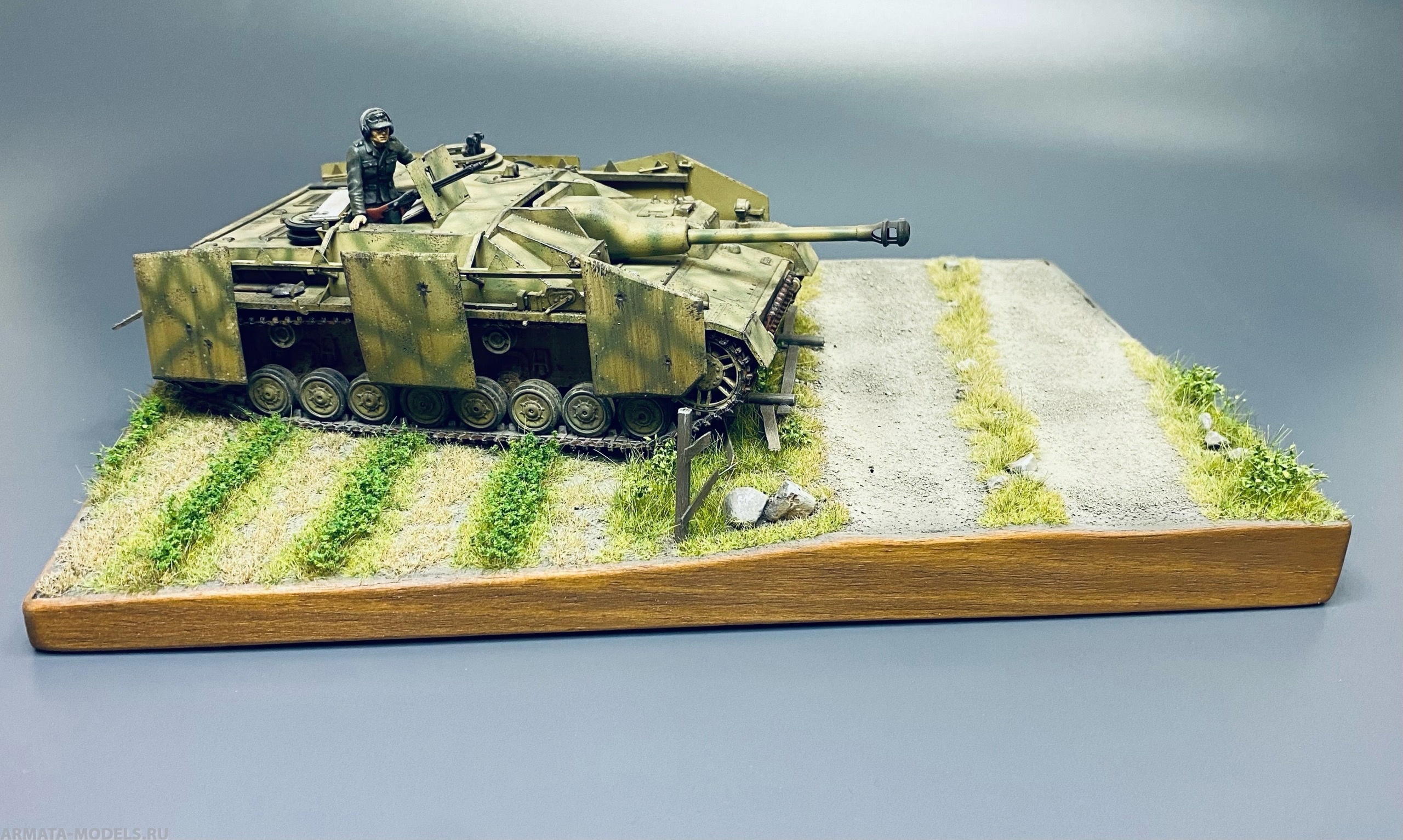 AM35711 Через поля. Размер 20*30см.