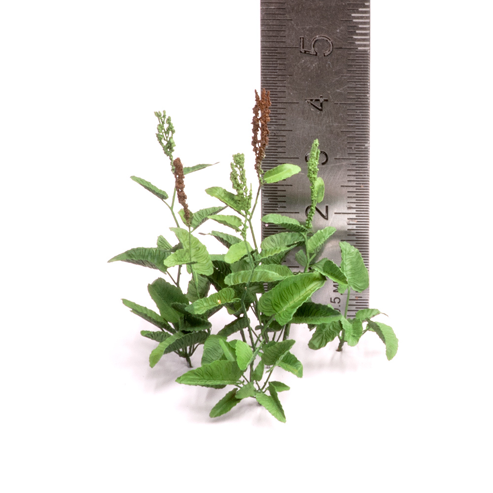 S174MWP Конский щавель, размер L